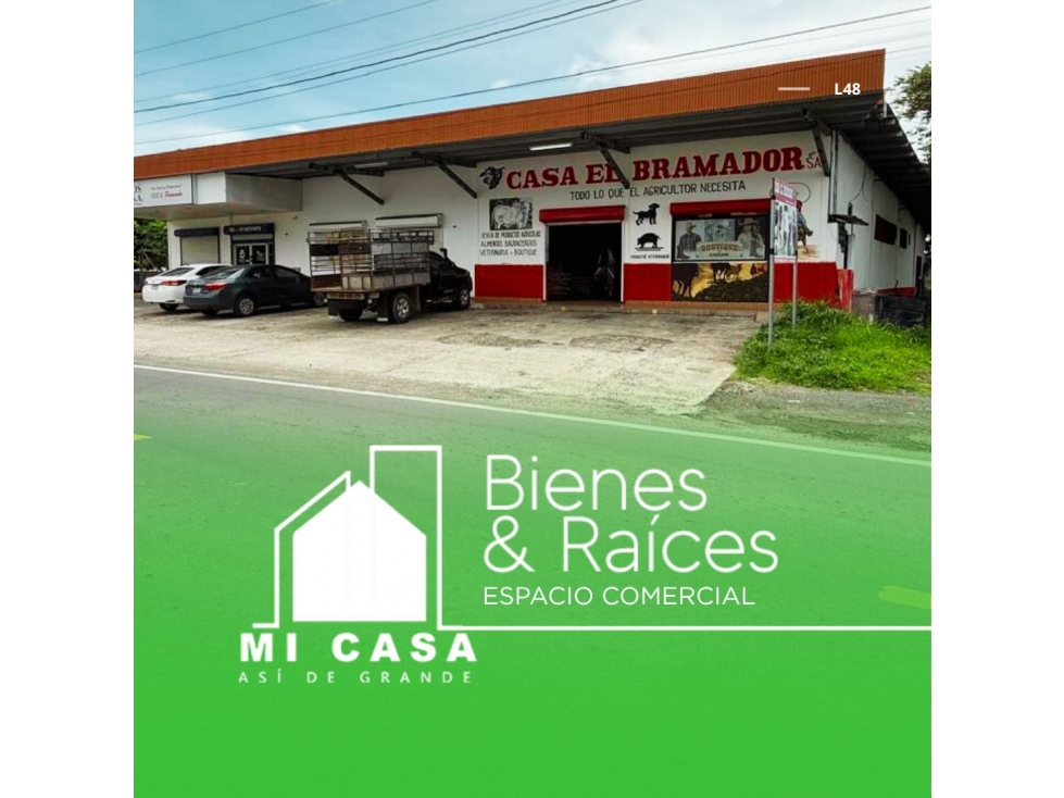 SE ALQUILA LOCAL EN CALLE MIGUEL HIM CENTRO DE PENONOMÉ L48 - 1