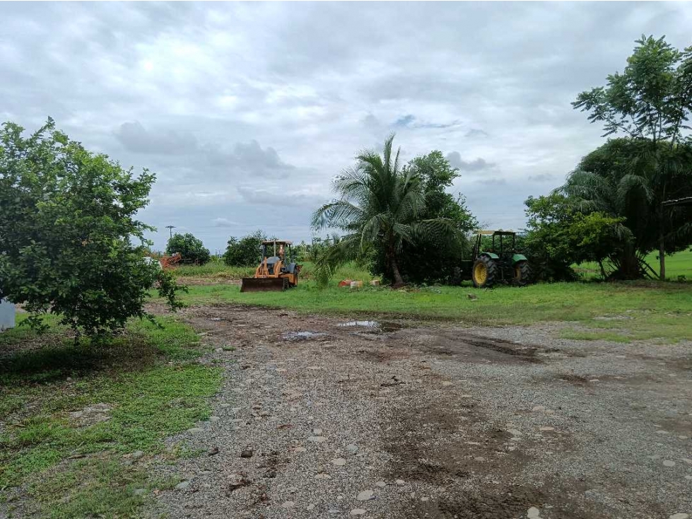 ALQUILER DE 45 HECTAREAS CERCA DEL CORREGIMIENTO DE CHIRIQUI, - 5