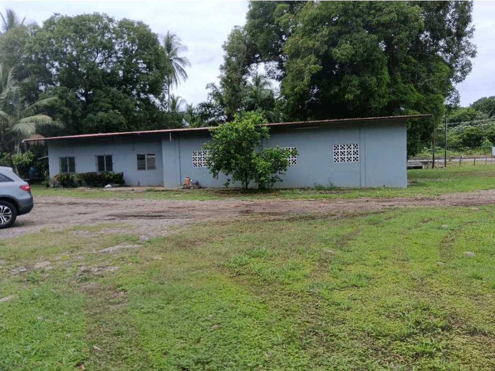 ALQUILER DE 45 HECTAREAS CERCA DEL CORREGIMIENTO DE CHIRIQUI, - 6