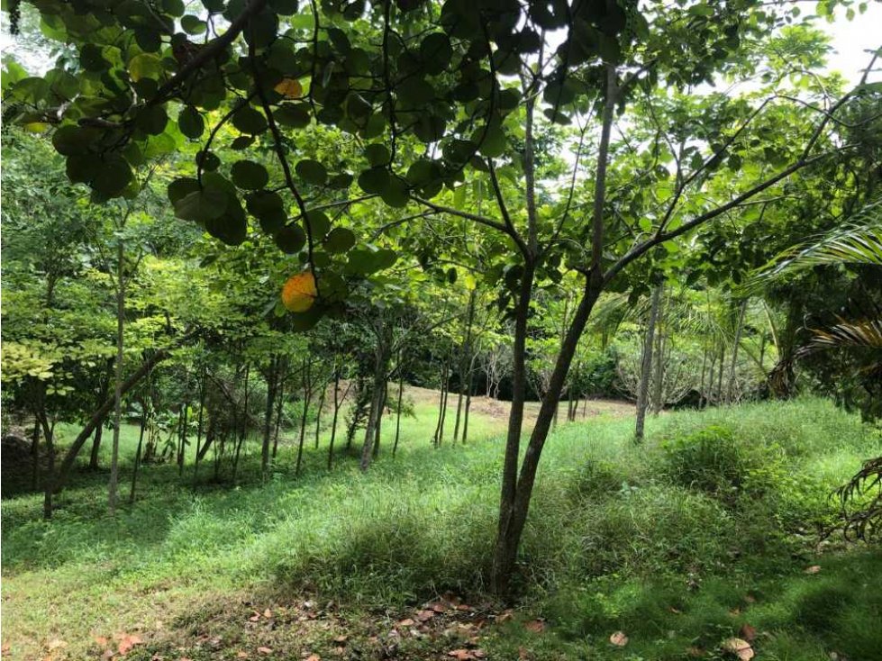 SE ARRIENDA CASA-FINCA EN TURBACO, BOLIVAR A 5 MINUTOS DE CARTAGENA - 6