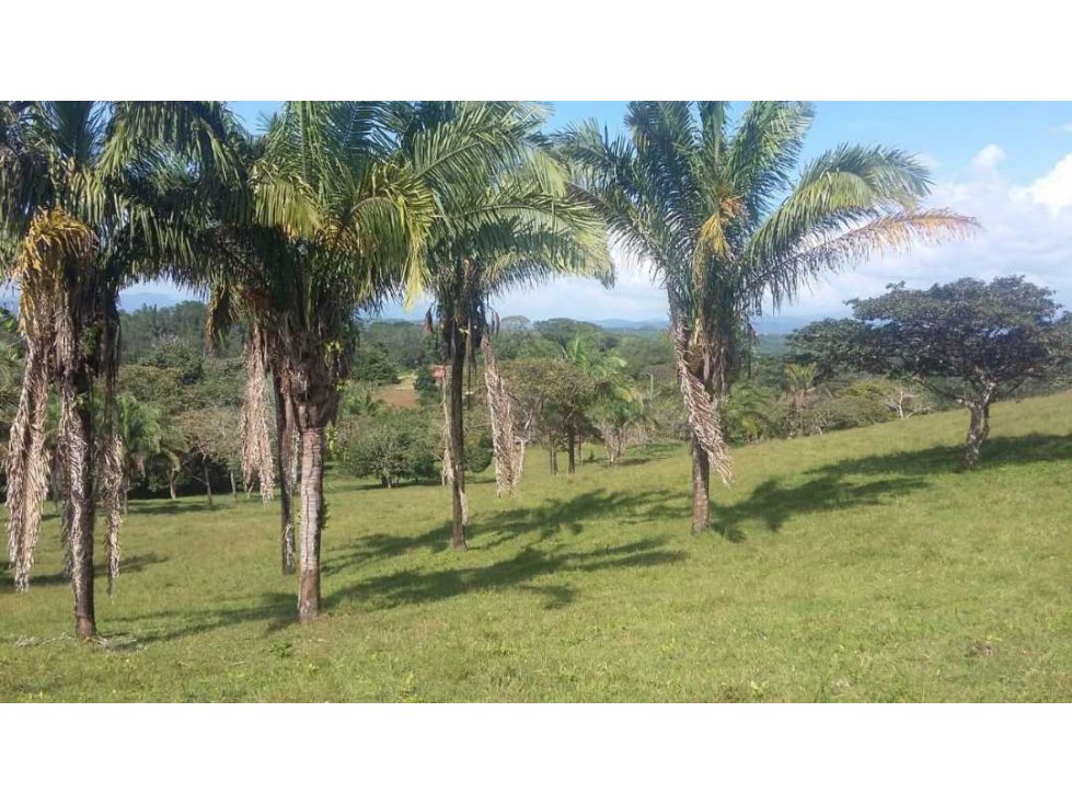 CHILIBRE 13 Há ideal para proyecto inmobiliario - 5