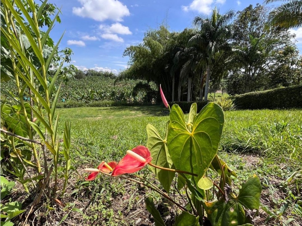 SE VENDE LOTE LINDANDO CON EL CLUB CAMPESTRE CONJUNTO CERRADO — foto 6