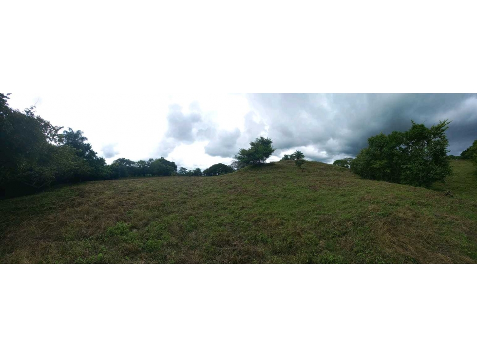 SE VENDE 18 HECTAREAS EN SANTIAGO VERAGUAS - 2