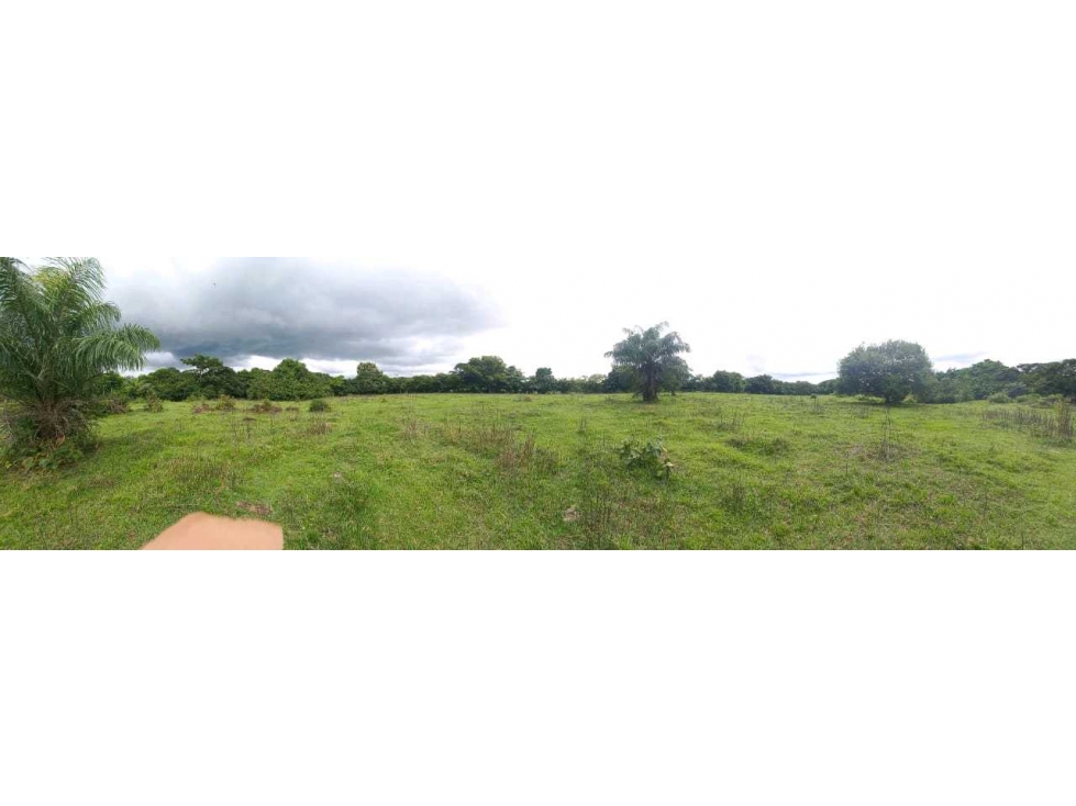 SE VENDE 18 HECTAREAS EN SANTIAGO VERAGUAS - 4