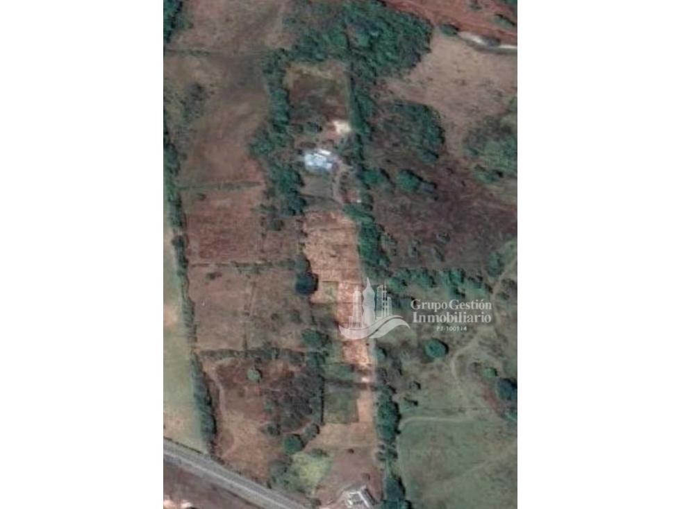 SE VENDE 8000m2 TIERRA FERTIL