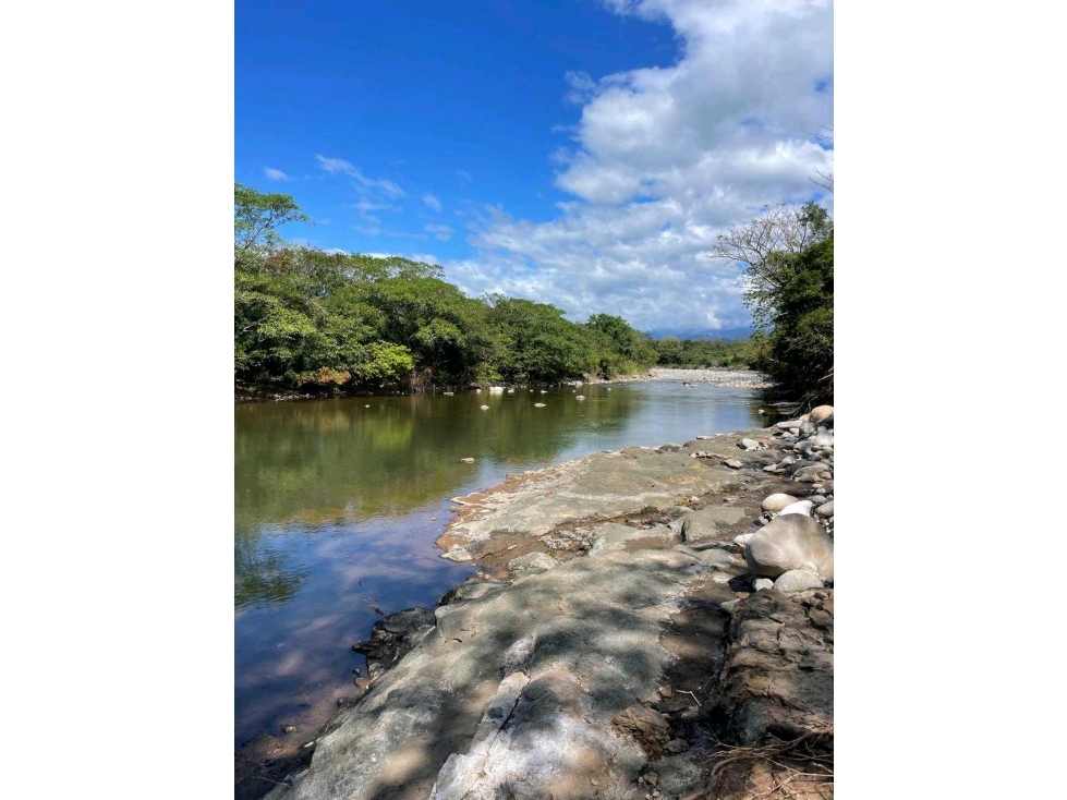SE VENDE 9.6 HECTAREAS EN GUALACA - 6
