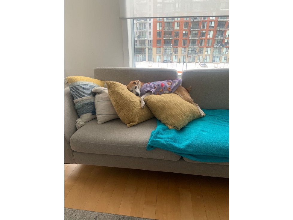 SE VENDE APARTAMENTO. AV 19 NORTE DE ARMENIA QUINDÍO — foto 2
