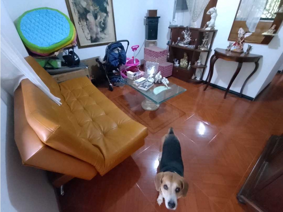 SE VENDE APARTAMENTO EN FLORESTA SANTA LUCIA — foto 6