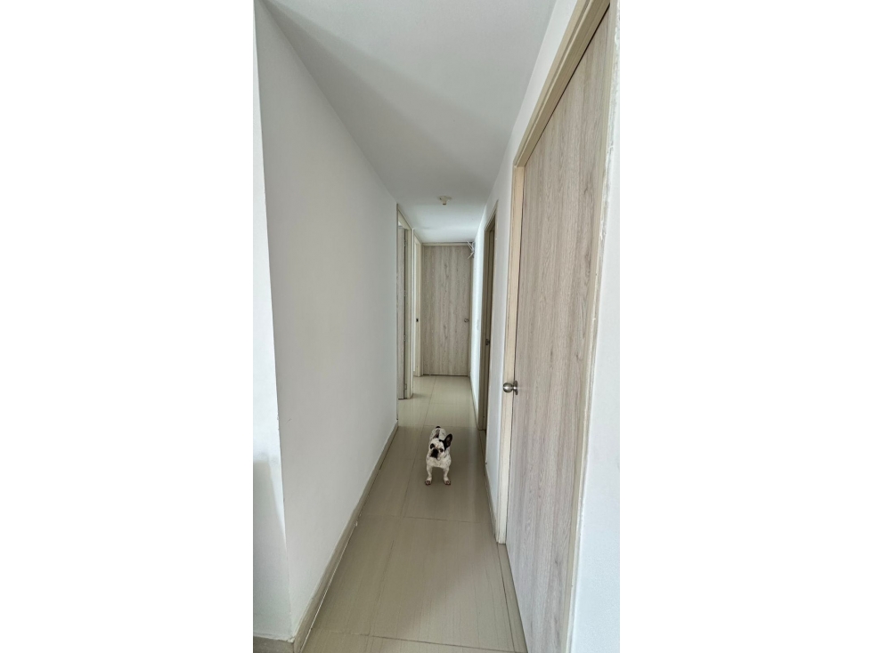Se Vende Apartamento En La Pradera — foto 5