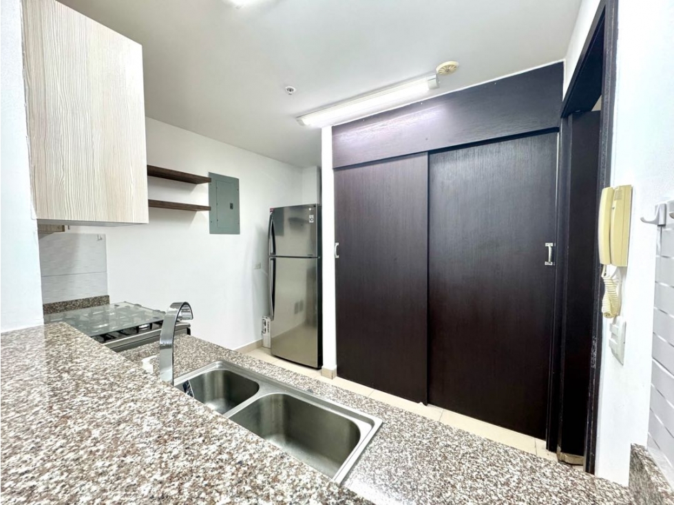 Apartamento en venta PH Altaterra-Villa Lucre (YM) — foto 5