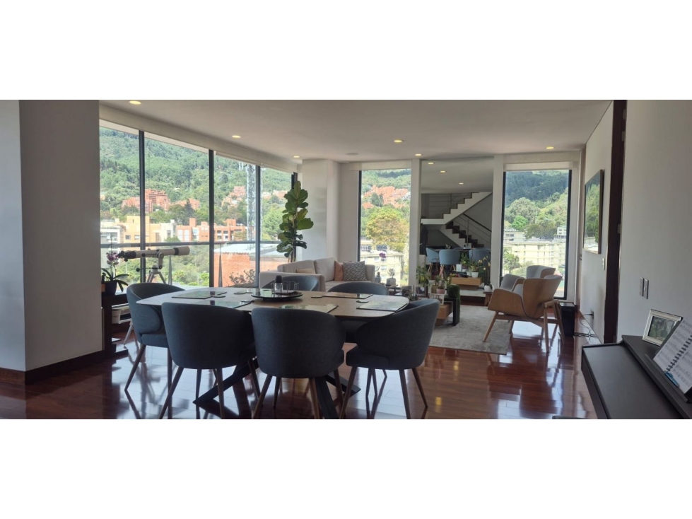 SE VENDE APARTAMENTO EN SANTA ANA ORIENTAL PH CON TERRAZA. A