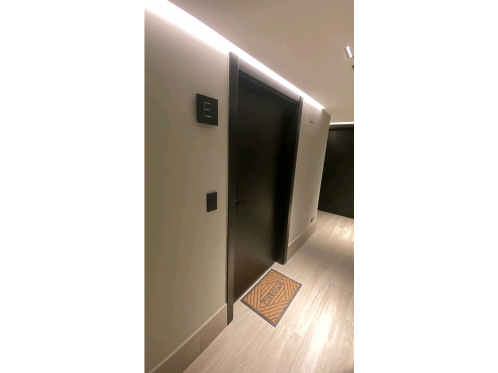 VENTA APARTAMENTO TIPO LOFT NUEVO EN COCO DELMAR PH DOVLE LT — foto 2