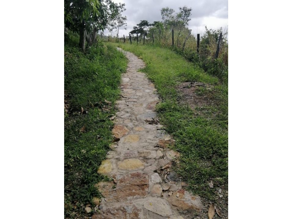 SE VENDE CABAÑA CAMPESTRE PARA ESTRENAR EN ANAPOIMA.PT - 3
