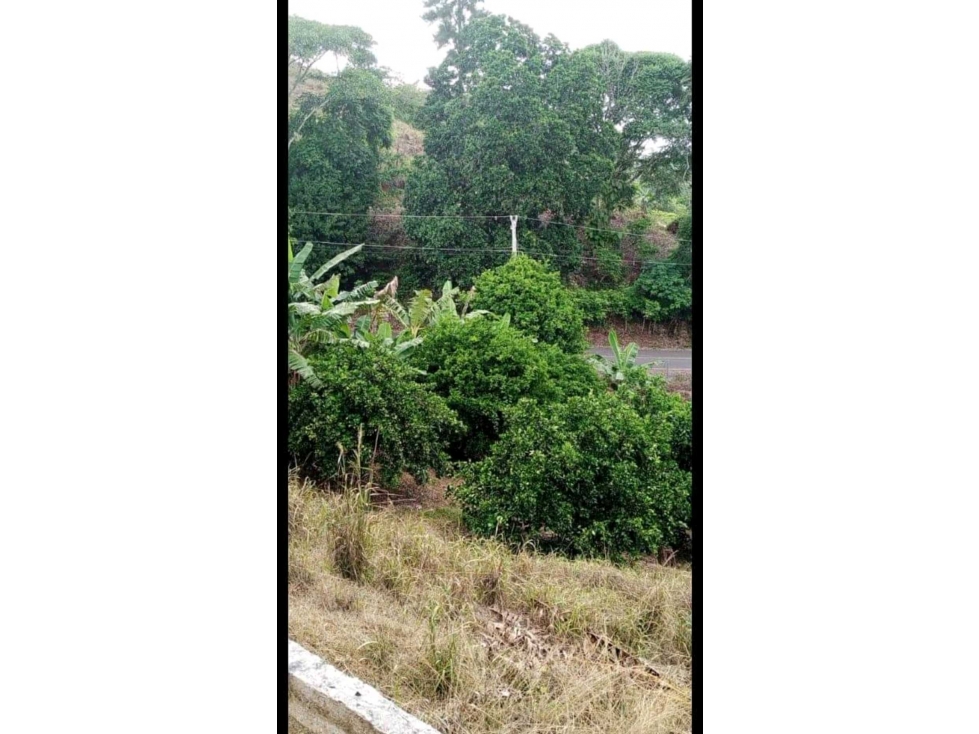 Se vende cabaña en Las Minas de Herrera. - 6