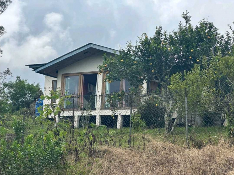 SE VENDE CASA, 3000m2 opción comprar 8000 m2 más. - 4