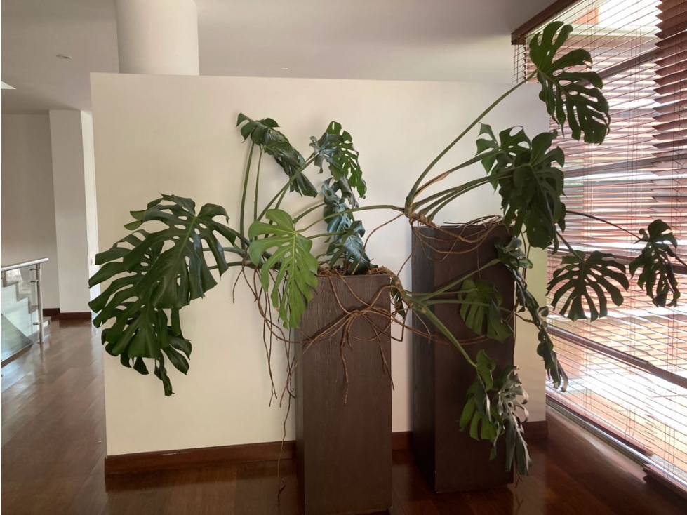 SE VENDE CASA BOSQUES DEL MARQUÉS BOGOTA — foto 2