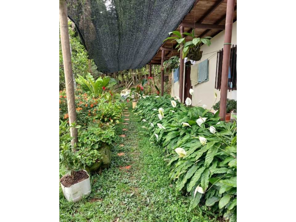 SE VENDE CASA CAMPESTRE EN CORREGIMIENTO ALTAVISTA — foto 2