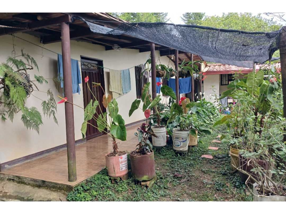 SE VENDE CASA CAMPESTRE EN CORREGIMIENTO ALTAVISTA — foto 3