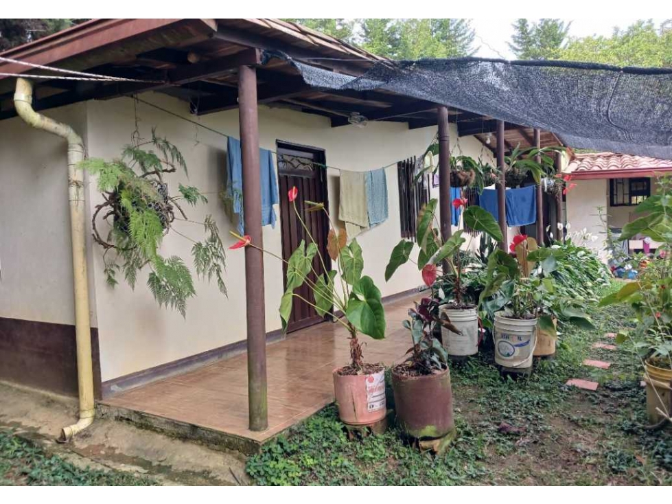 SE VENDE CASA CAMPESTRE EN CORREGIMIENTO ALTAVISTA — foto 5