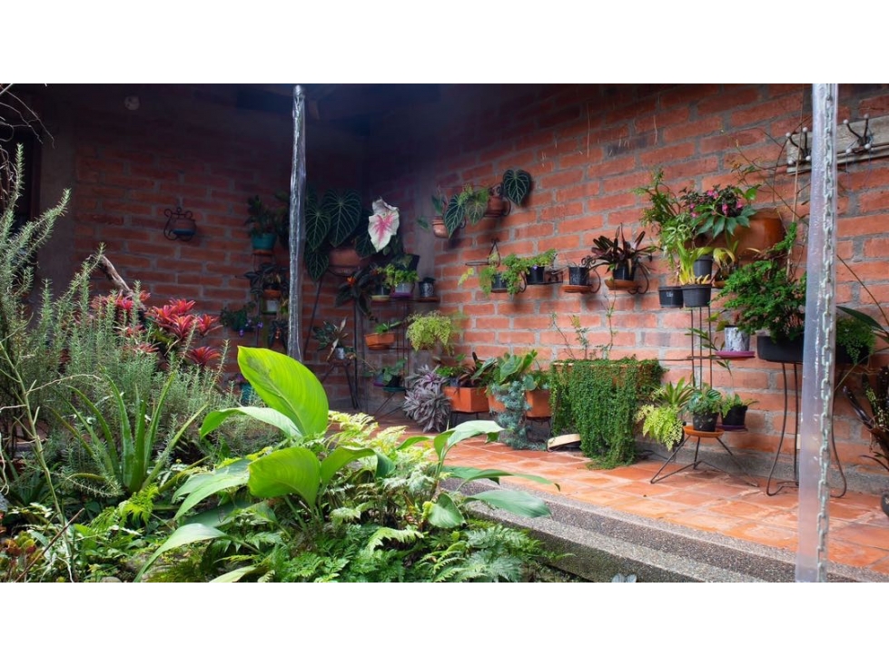 SE VENDE CASA CAMPESTRE CERRITOS PEREIRA — foto 3