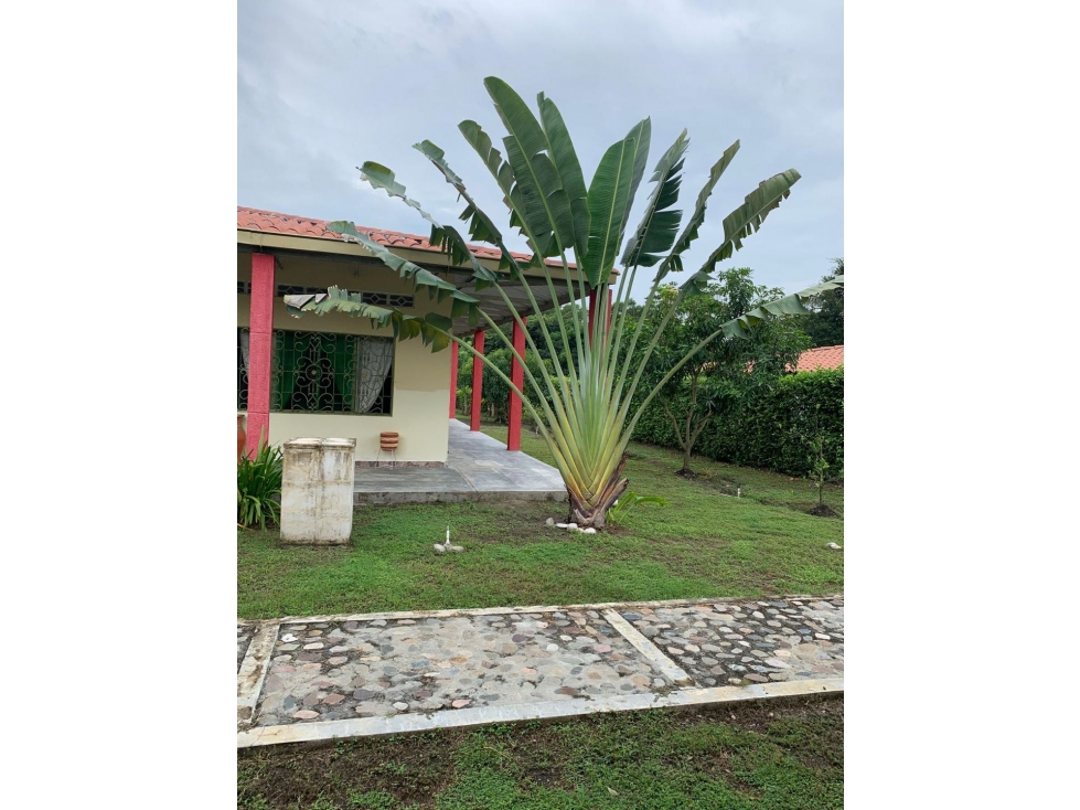 Se Vende Casa Campestre en Guamo Tolima - 4