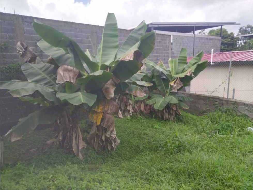 Se Vende Casa con Apartamentos para Inversiónistas en Las Mañanitas — foto 6