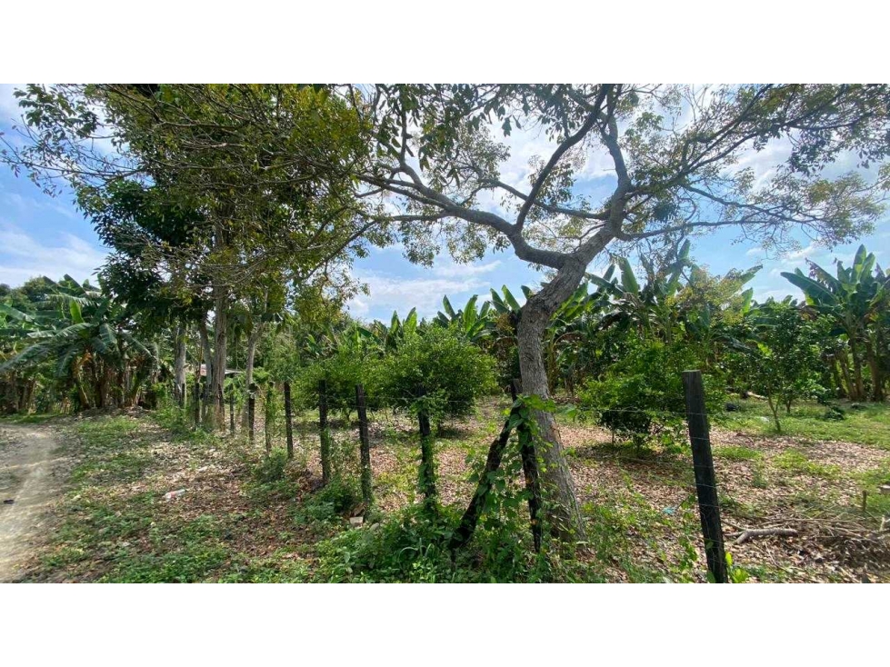 SE VENDE CASA CON LOTE DE 2000 m2 EN LOS VENADOS — foto 3