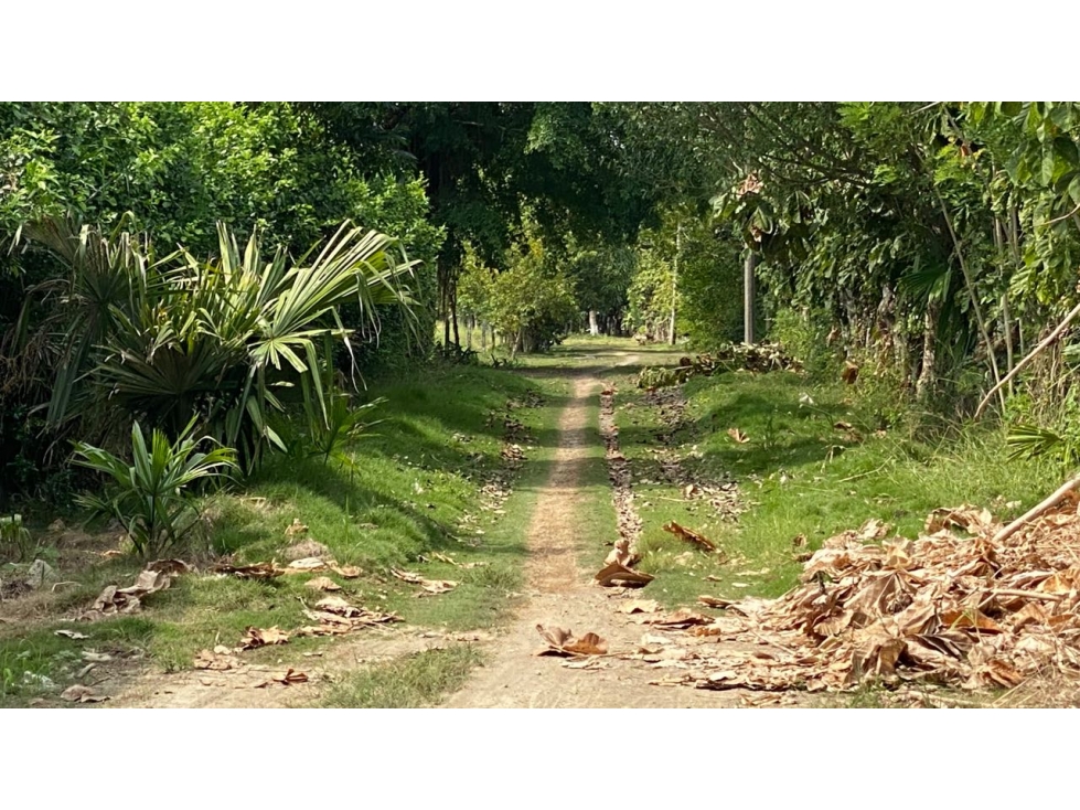 SE VENDE CASA CON LOTE DE 2000 m2 EN LOS VENADOS — foto 5