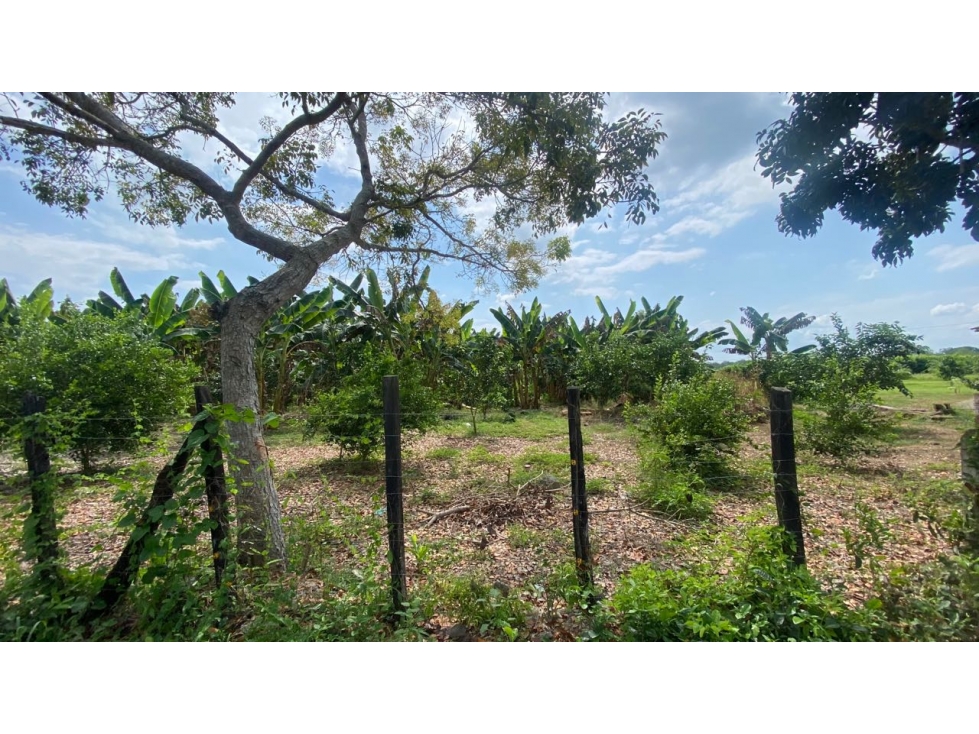 SE VENDE CASA CON LOTE DE 2000 m2 EN LOS VENADOS — foto 6