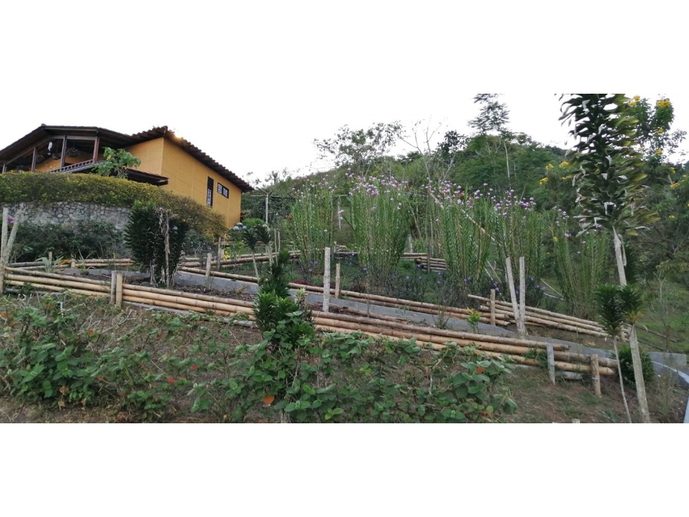Se vende casa con lotes en Calima Darién - 2