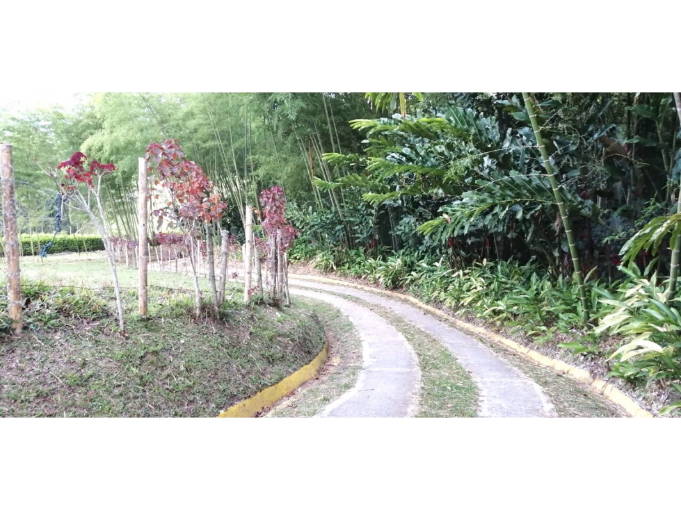 Se vende casa con lotes en Calima Darién - 6