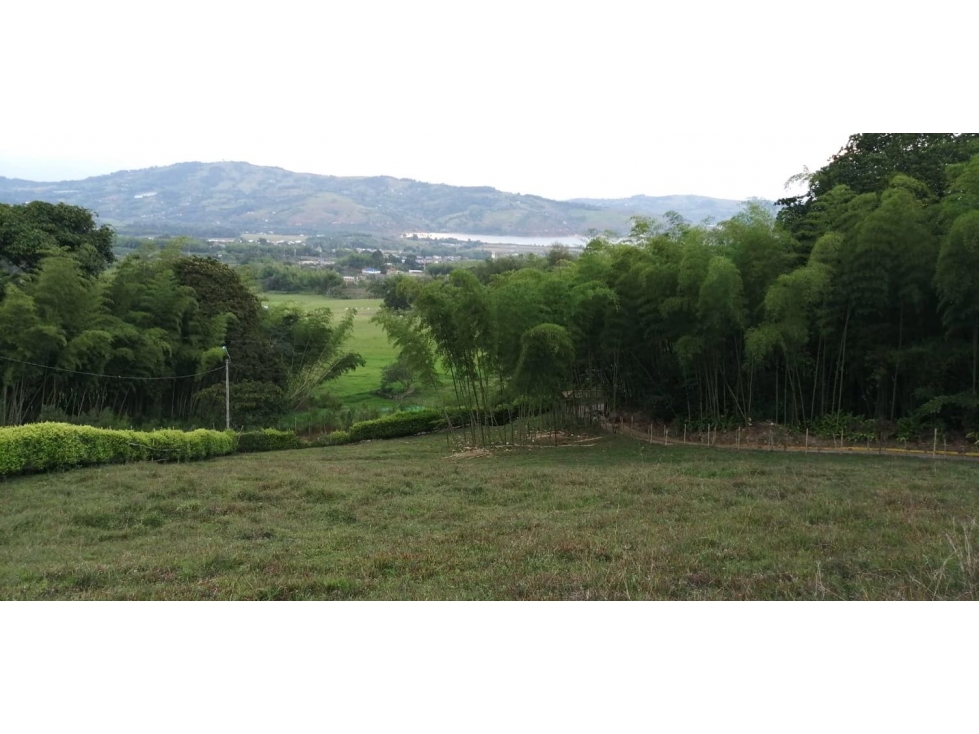 Se vende casa con lotes en Calima Darién - 3