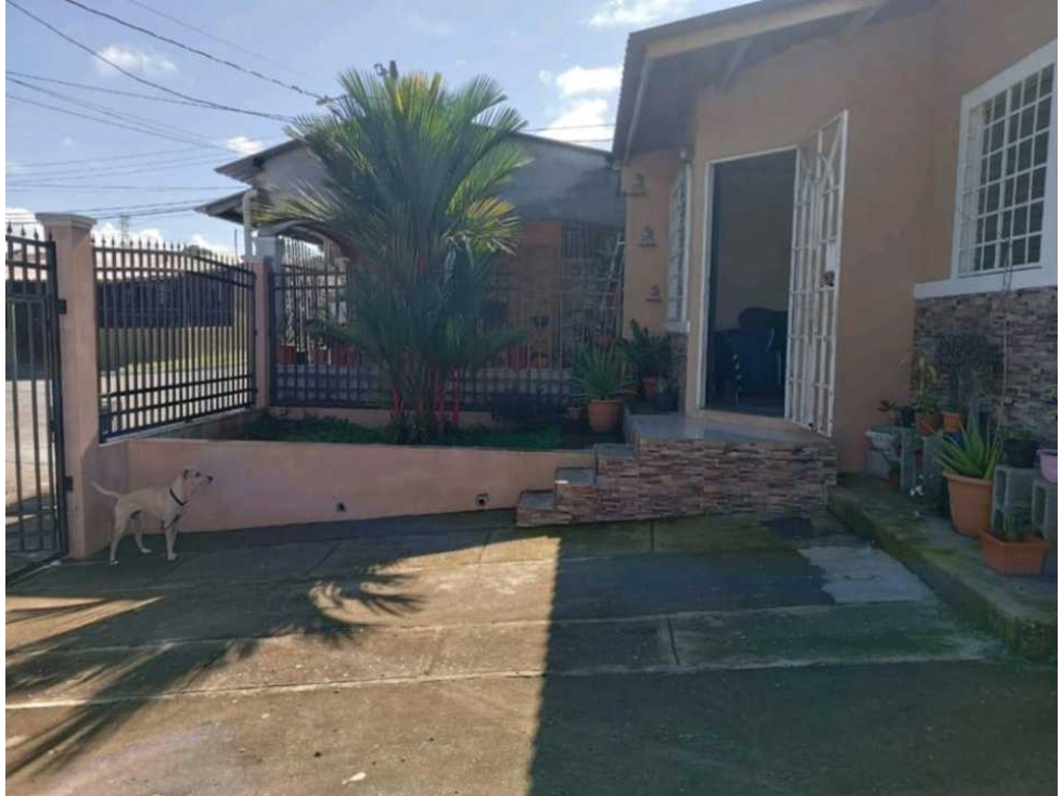Se Vende Casa con terreno amplio de esquina en Las Mañanitas — foto 3