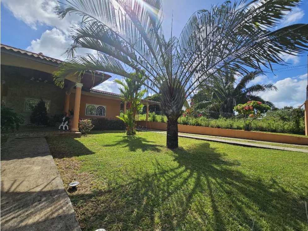 Se Vende Finca de 1 Hectárea con Casa en Campestre en Capira (DR) - 2