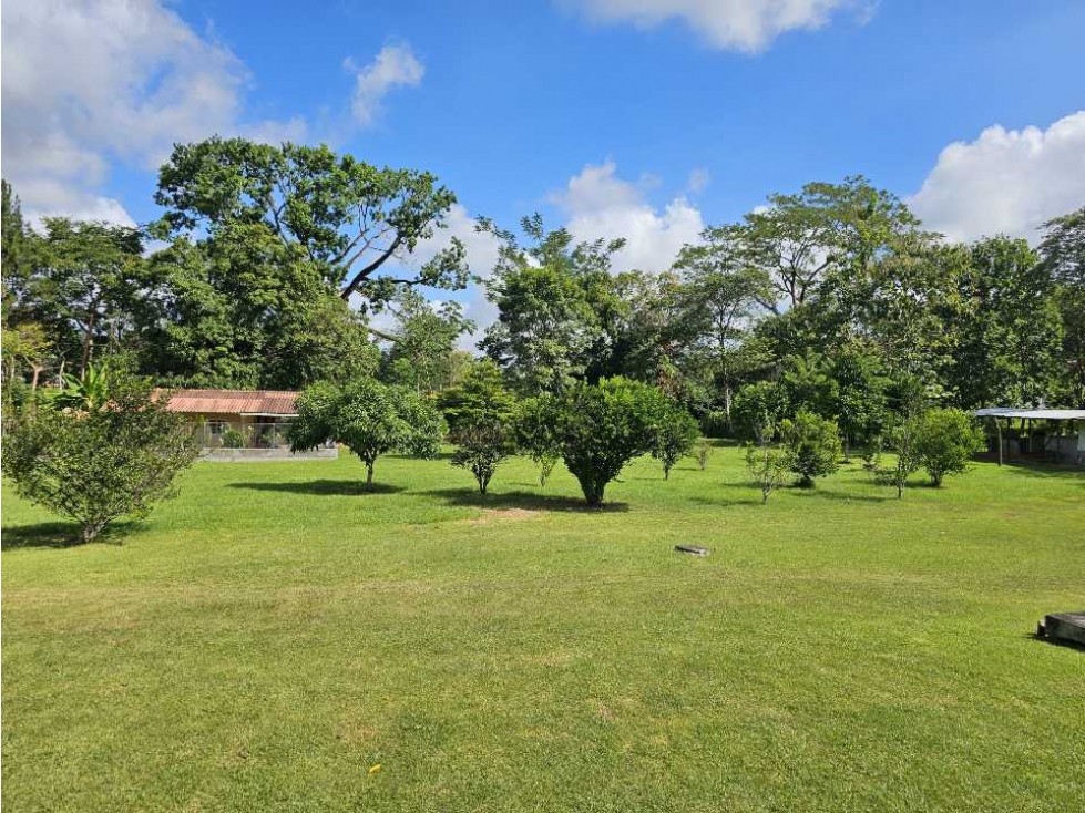 Se Vende Finca de 1 Hectárea con Casa en Campestre en Capira (DR) - 4