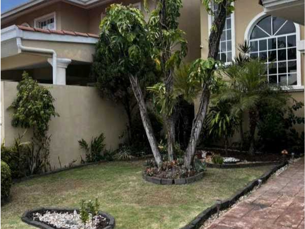 Se vende casa en Castel Novo — foto 2