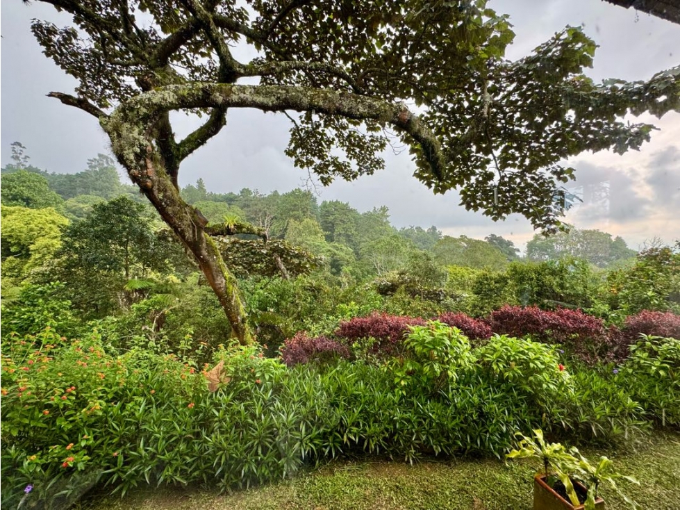 Se alquila linda casa campestre en Dapa - 5