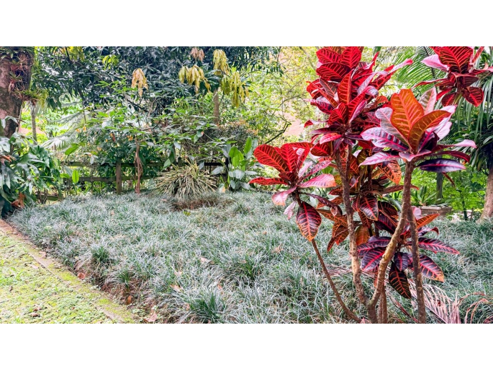 VENTA DE CASA EN EL CAMPESTRE/ EL POBLADO — foto 2