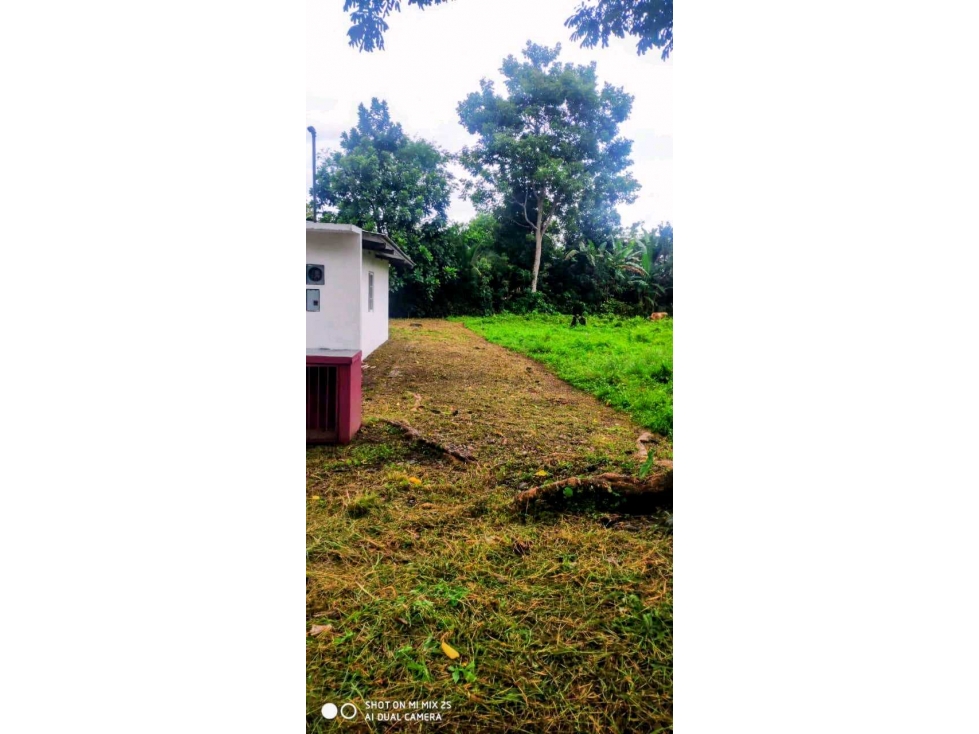 Se vende casa en Progreso, Distrito de Barú — foto 4