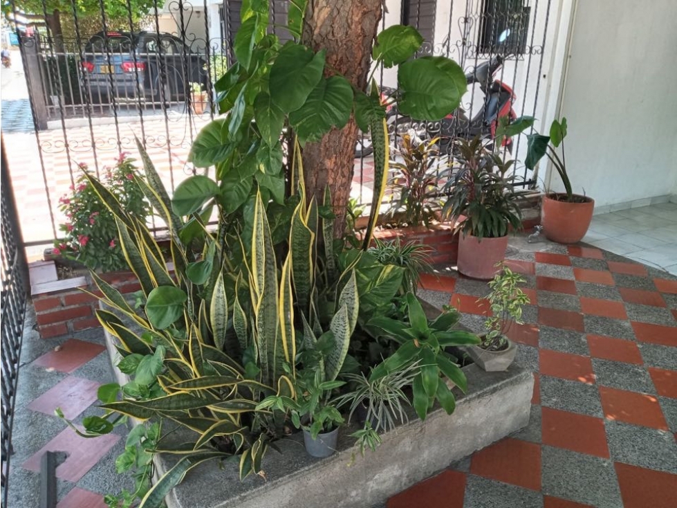SE VENDE CASA EN VALLEDUPAR. P - 5
