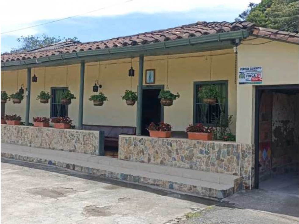 SE VENDE CASA FINCA EN EL CARMEN DE VIBORAL — foto 2