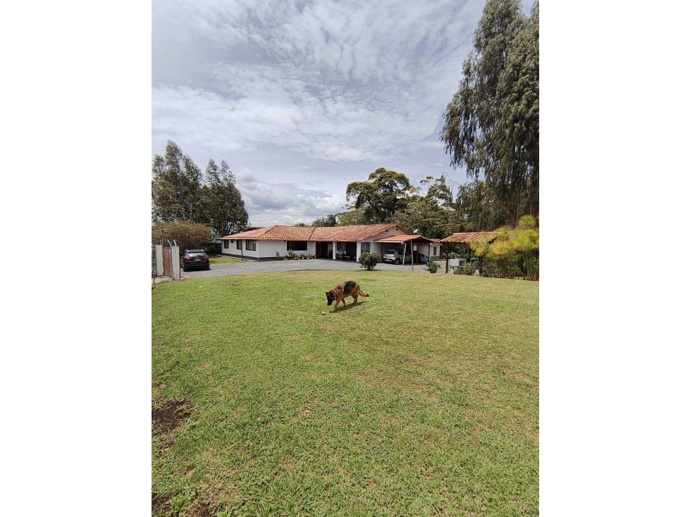 SE VENDE CASA FINCA EN LA CEJA,VEREDA EL TABOR - 2