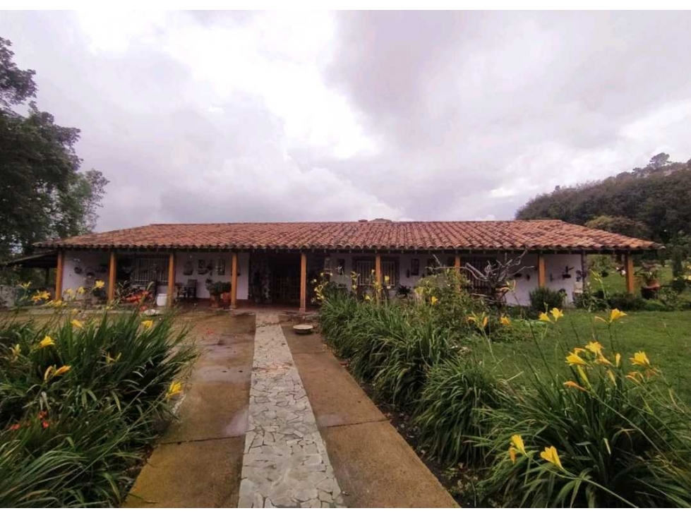 Se vende casa finca en San Pedro de los Milagros