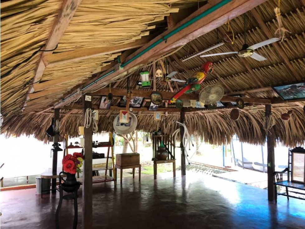 Se vende Casa Finca vía Arboletes - 4