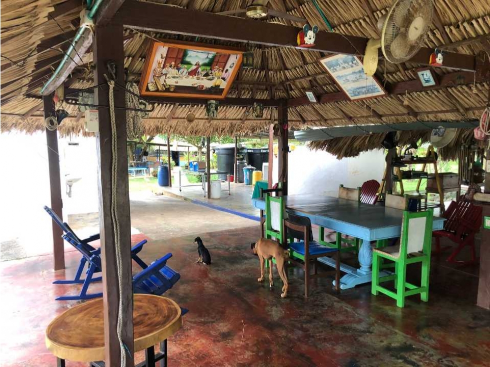 Se vende Casa Finca vía Arboletes - 5