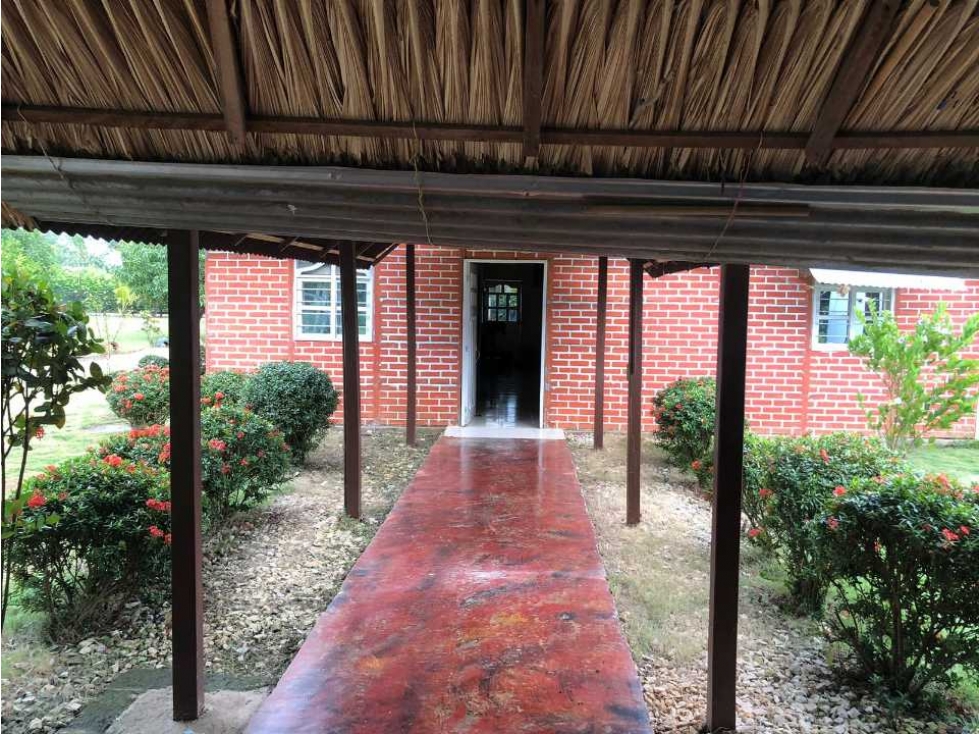 Se vende Casa Finca vía Arboletes - 6