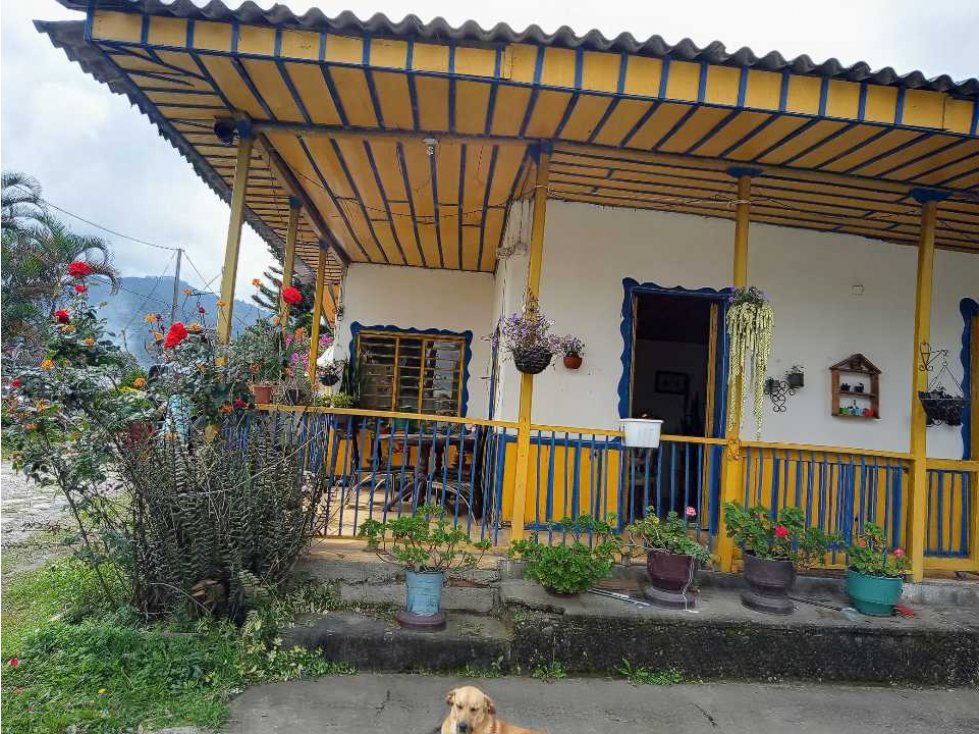 Se Vende Casa Lote Avenida Centenario — foto 3
