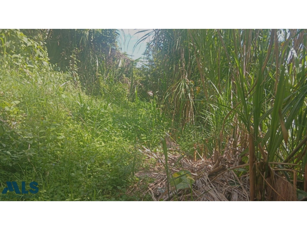 Se vende Casa Lote en Itagui - Excelente ubicacion(MLS#260160) — foto 2