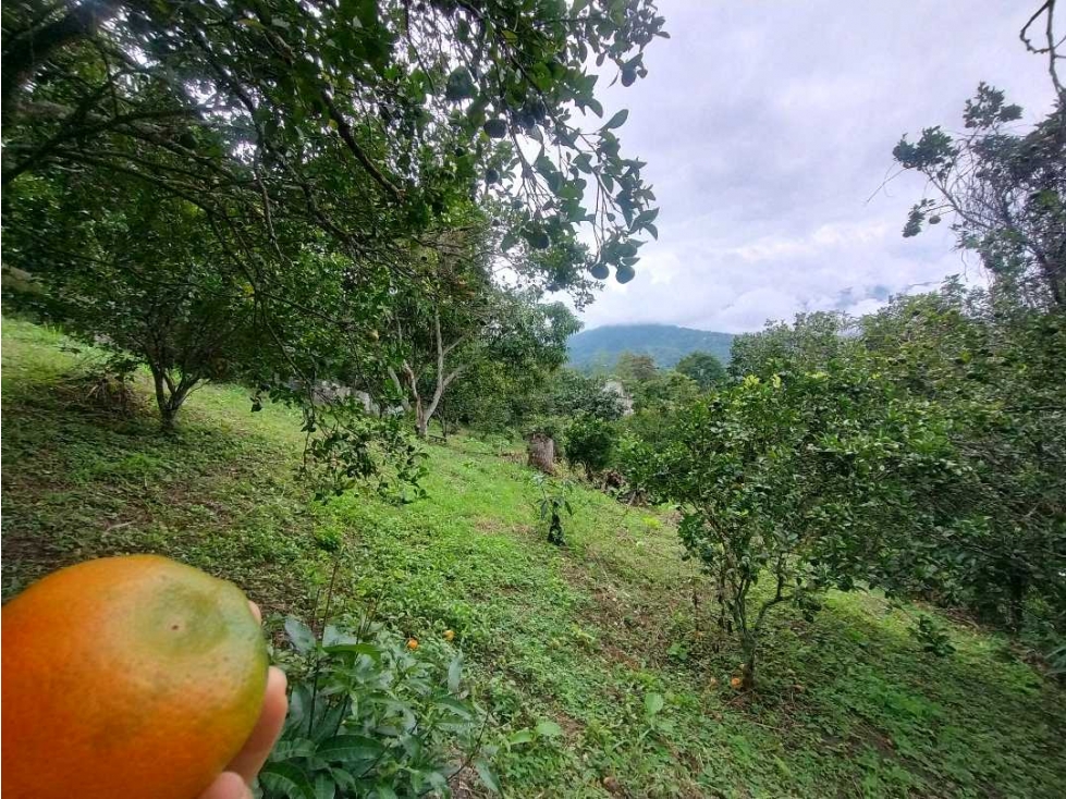 Se Vende Casa lote en Tena - 2