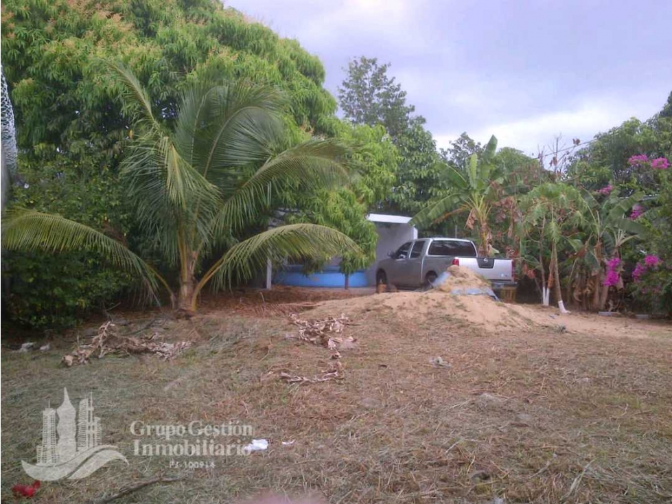 SE VENDE CASA O GALERA Y SE ALQUILA 150mt (CONSTRUCCIÓN) — foto 2